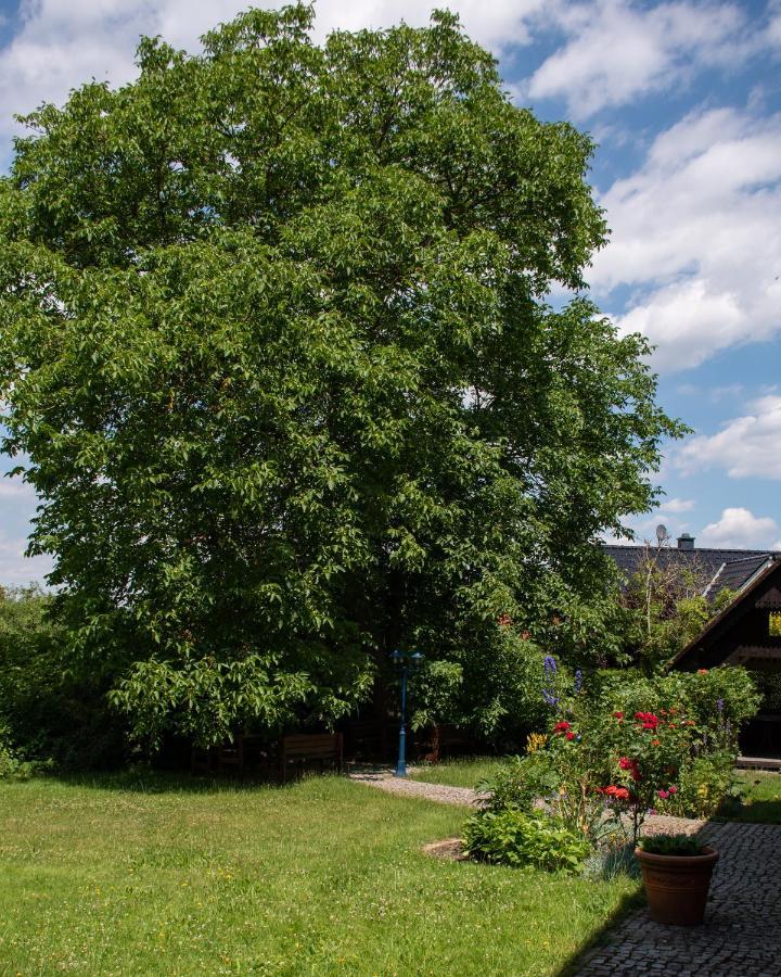 Ferienhaus Ostrauer Hof Bad Schandau Eksteriør bilde